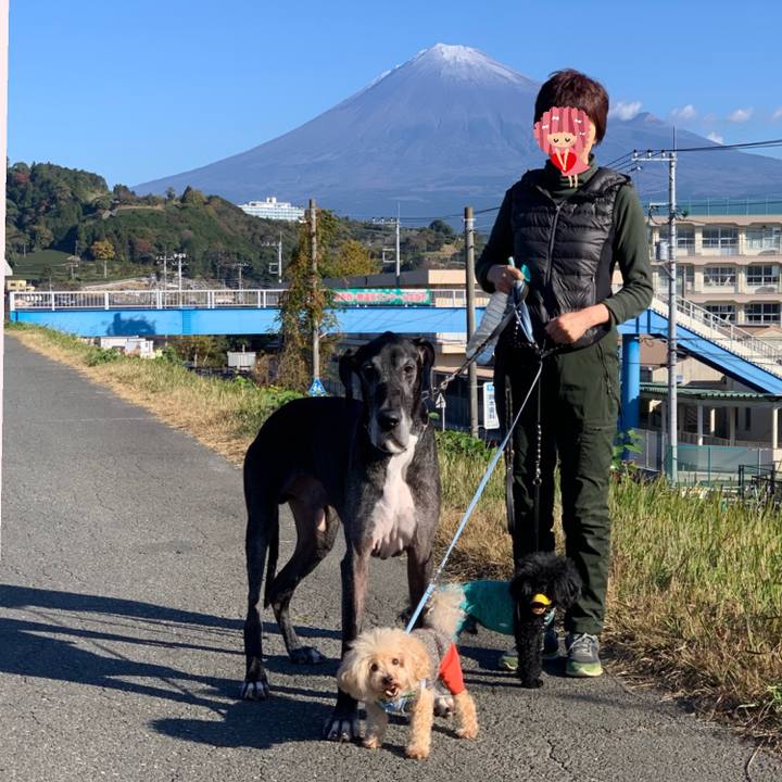 17a1c328 1799 40f1 a339 11441c838147 1606148656219