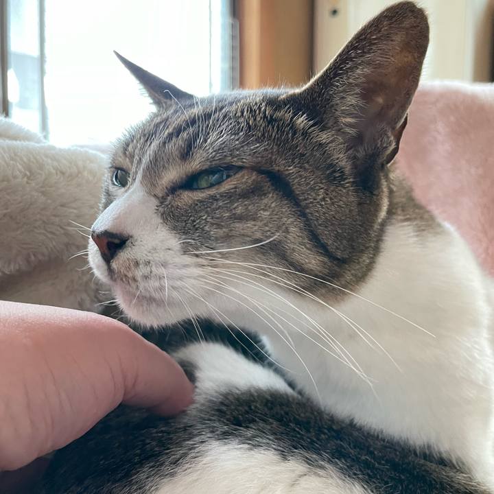 17a1e5e1 8895 4c4e 99b5 d9a744ffa53c 1638928588724