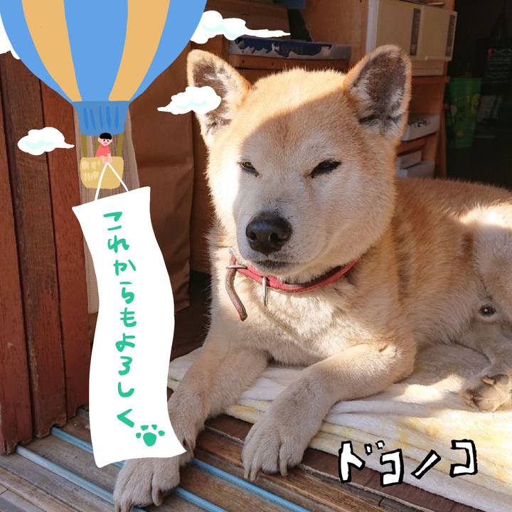 17a1f8cc ecd6 48d7 b6e4 ff753295c2d9 1686008105343