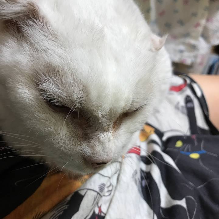 17a1fd38 650b 45c4 bfe9 5612de3442ff 1536664965329