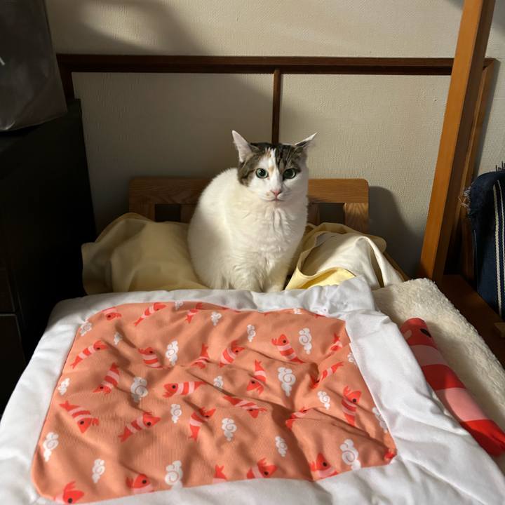 17a2537b 7176 488f 958e c055124aa6cf 1731195833337