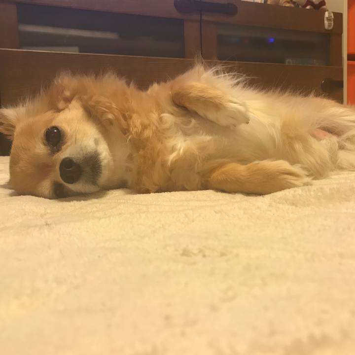 17a27e48 21f7 45e0 836d 946eee625f68 1543938567521