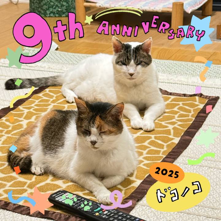 17a2806d d785 4338 ae53 6f58e81bc8da 1749284626846