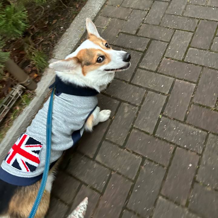 17a282e7 d006 4ce7 ac2c a97c2bb4a9ff 1767172270946