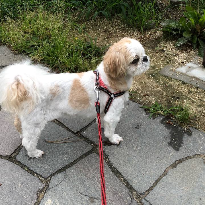 17a2834a bd52 4e5d 898d f86fb9d12cd7 1623275038834