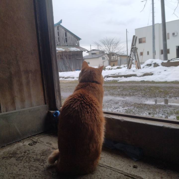 17a2b19e ac85 4997 a855 d7e4fea7201f 1708840872138