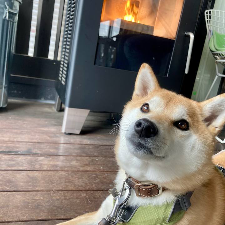 17a2b573 c141 4450 b024 1996c384476e 1740889261854