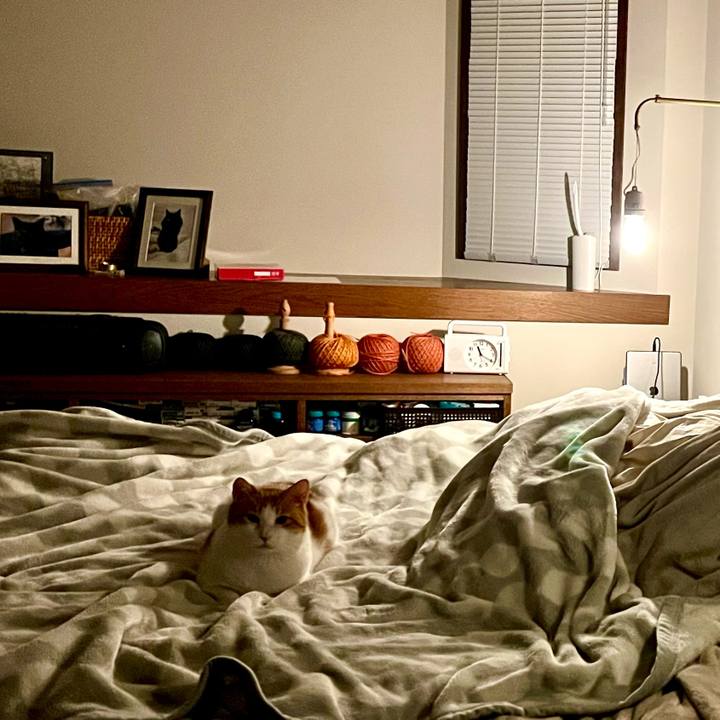 17a30827 7b5d 4c69 a0d8 b961fb59e28c 1761661616854