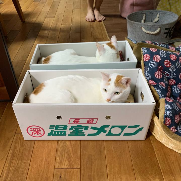 17a32aeb 84e4 427e bfc3 1207c967279c 1597239142881