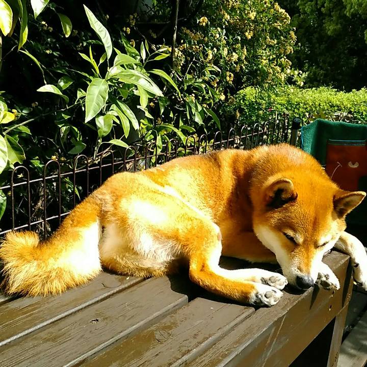 17a3314c d775 4360 b088 3591aca95391 1557465234899