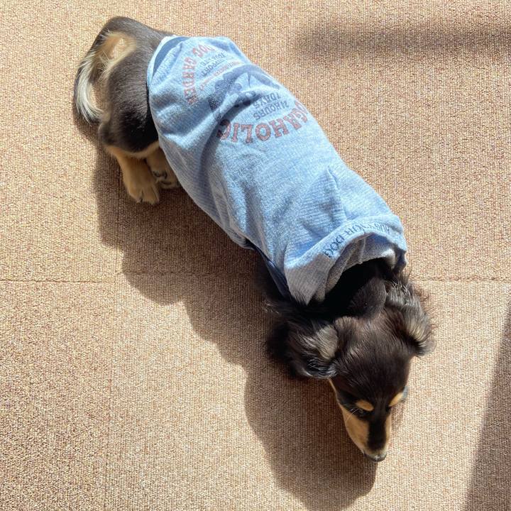 17a34f8c 6db6 4933 ba59 cb661c117fc0 1670125395792