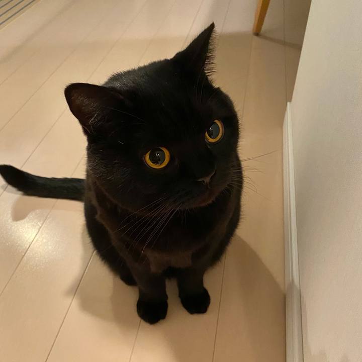 17a36567 f374 4003 82f5 a7013b0dee5e 1639306473555