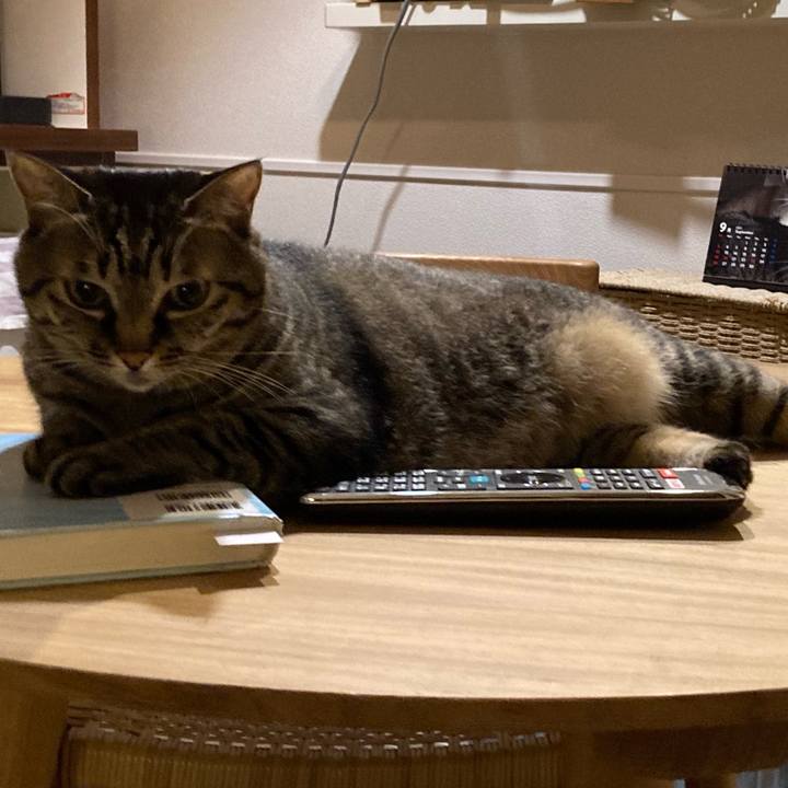 17a36ee8 1cd7 4fdf 96bc e359c2c233d7 1632629757787