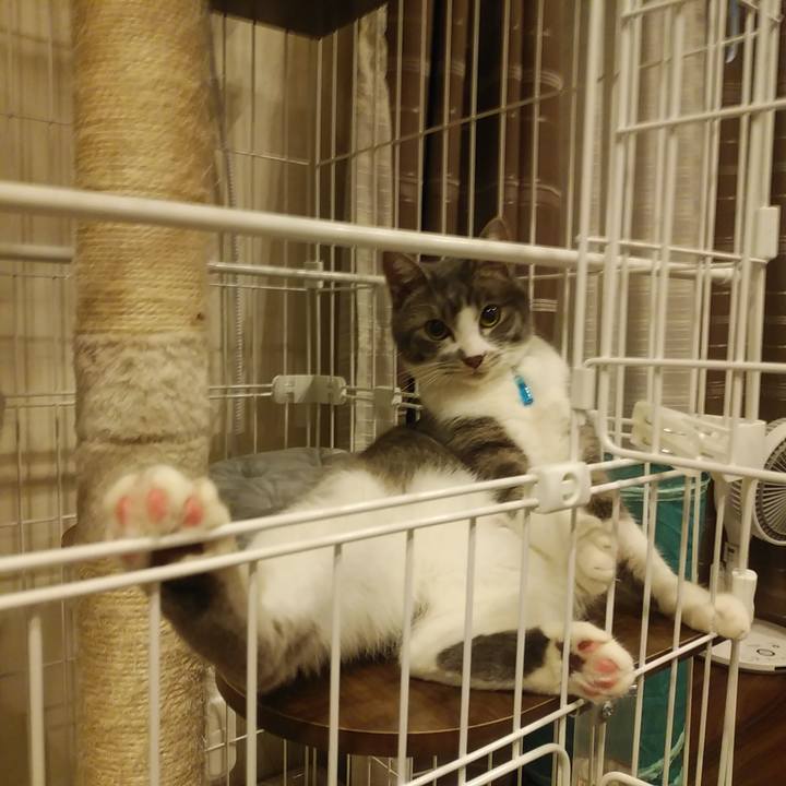 17a385c3 4068 482f 9f3b 743cda7519f4 1581777770863