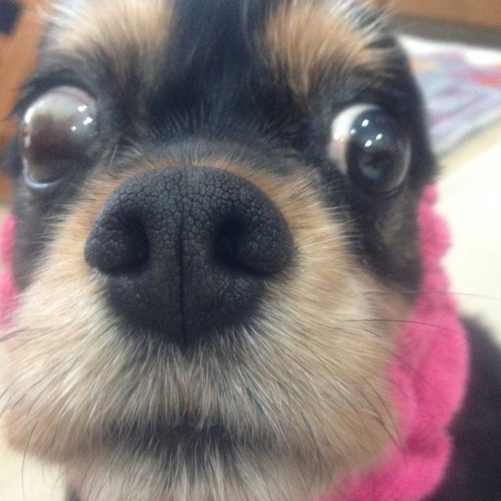 17a3dfbd 4938 4814 b1e4 e13d33833369 1510045854222