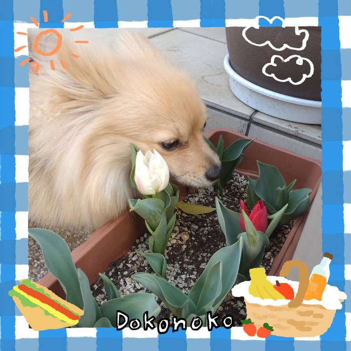 17a3f8d9 9a56 48ad b42e 500a6ff793ca 1744260121859