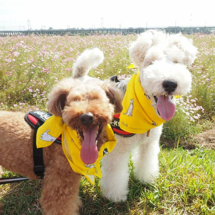 17a4049f 5a33 42d4 8eb3 e91be5e017fc 1507518710584