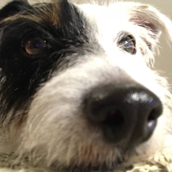 17a42517 90a3 4cc2 8f08 047025613e17 1534938682047