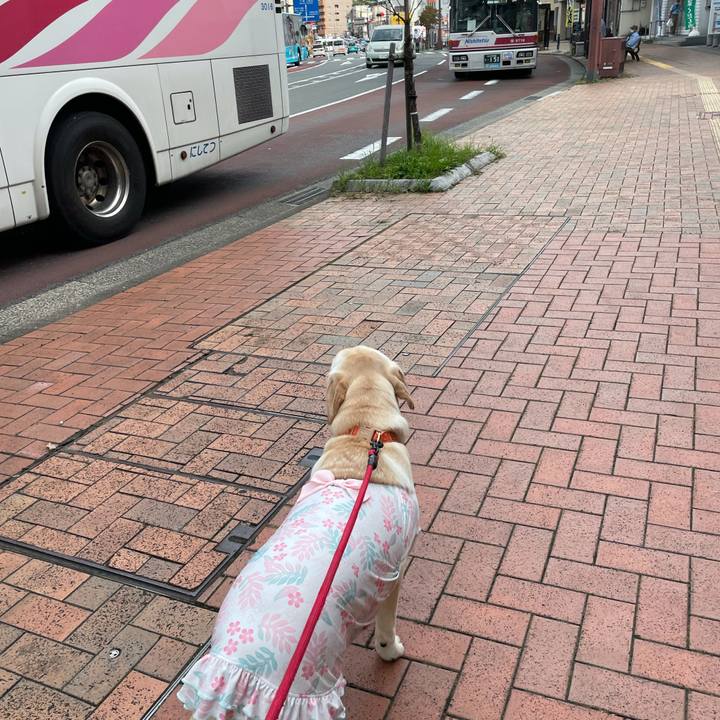 17a43504 6402 494c a06d 2bd560fce7fe 1632471396841