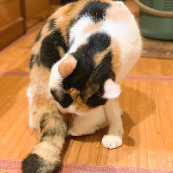 17a443cb 267d 4755 9979 3116f6391041 1569206025750