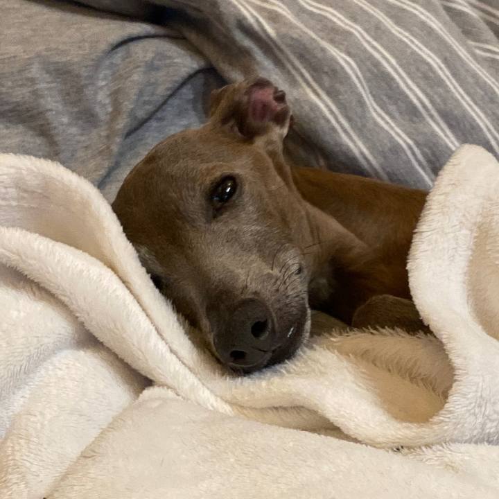 17a44a2b 77be 4819 9d58 0a694315f456 1757762534180