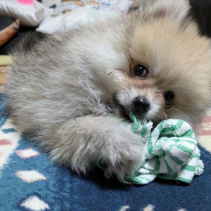 17a46538 8761 45d7 9c06 b1d856a74e09 1746489184138