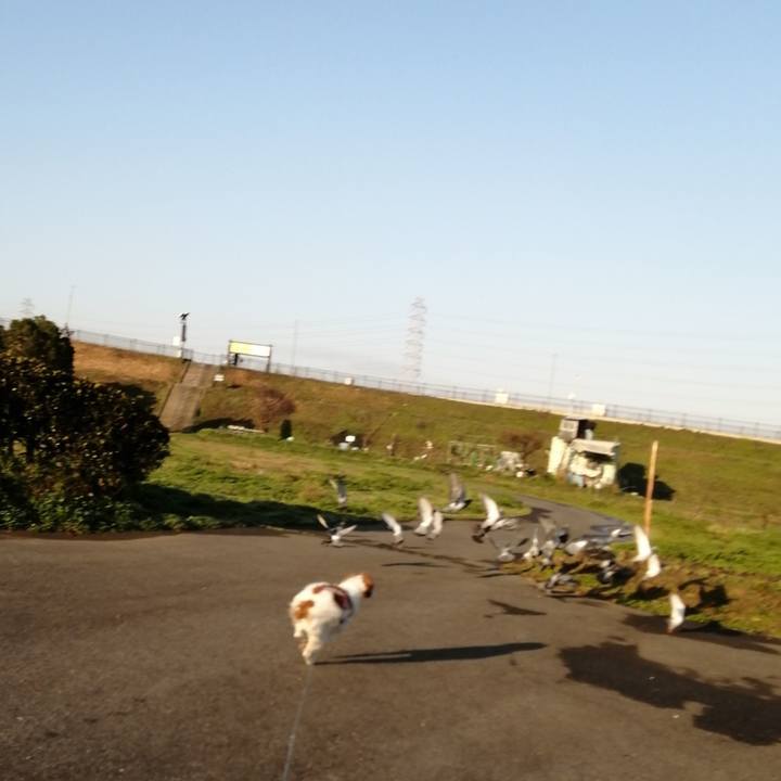 17a4aa5a 976f 4497 b406 531d8189a26e 1583712930847