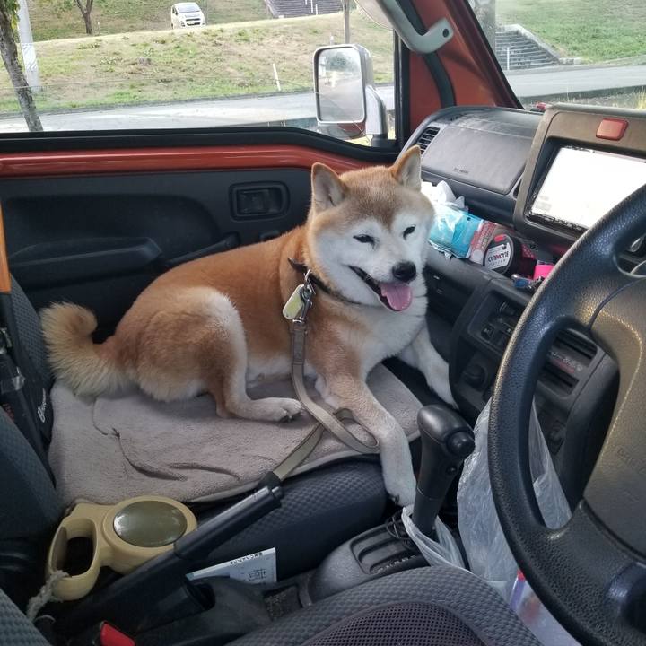 17a4bb5e 1160 47b4 9be1 c7adda3c4c16 1693557018330