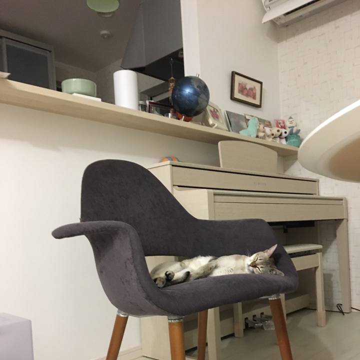 17a4db91 b42f 47dd 9be9 0781343820f0 1518881117309