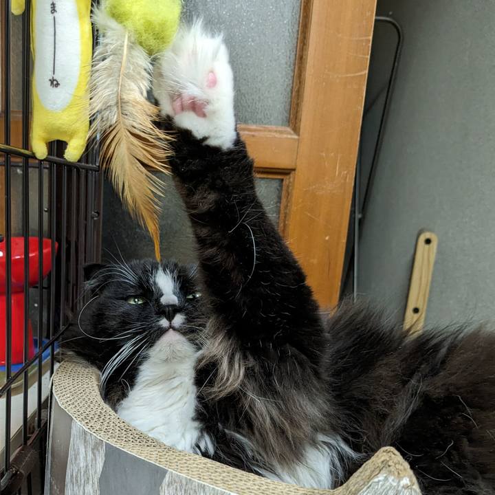 17a4e607 7003 434a a2cf 6df91933e524 1711278105078