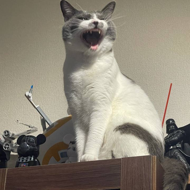 17a4f7ea a3a4 4493 87aa 866d76ac1fef 1624791232036