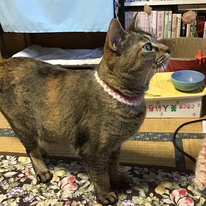 17a527b6 6e05 4429 82e1 d2bc7fcd41a4 1655024778129