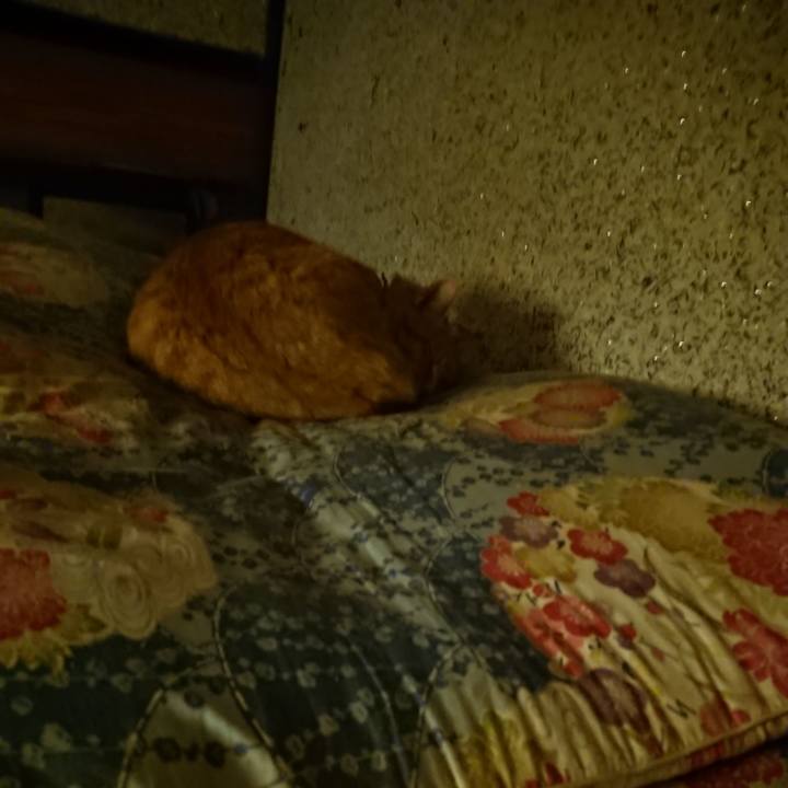 17a530f3 2848 4b6e adee c4b9d59df278 1601205615564