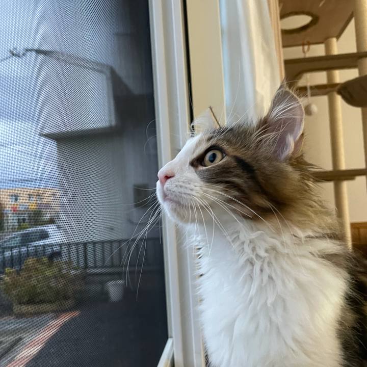 17a54e37 00da 4a95 bf43 63ea6431c458 1634420469650