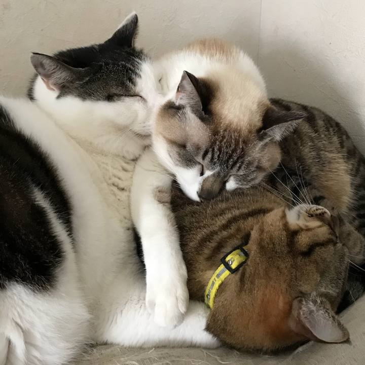 17a5715d 2a55 465e ac2c f804b616bcd8 1521767630136