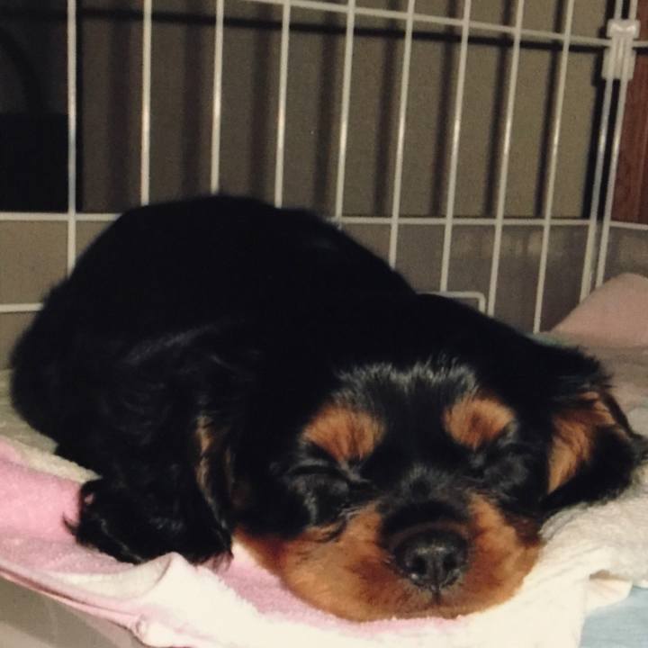 17a578bb 1881 463e b0b6 8f4413c2bd37 1563629928083