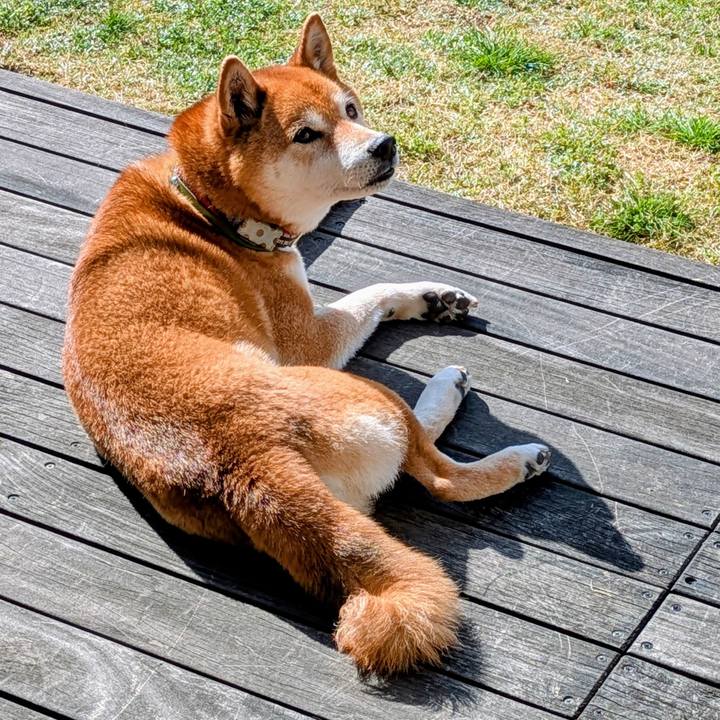 17a57e60 049b 4e59 ac95 ad39c61479f8 1745413005770