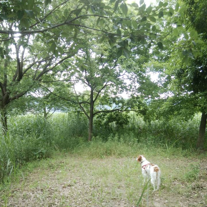 17a5a5af 7b72 48f0 bf1f b27035f67ba4 1529322249355