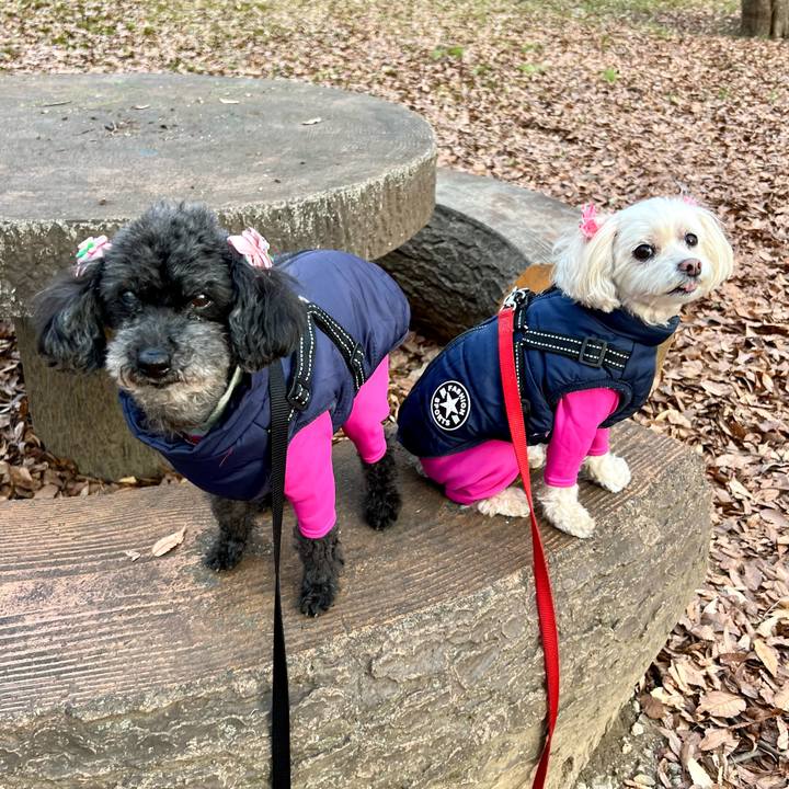 17a5a6d8 fce8 4a82 9221 1aef73c7d2e3 1770888950382