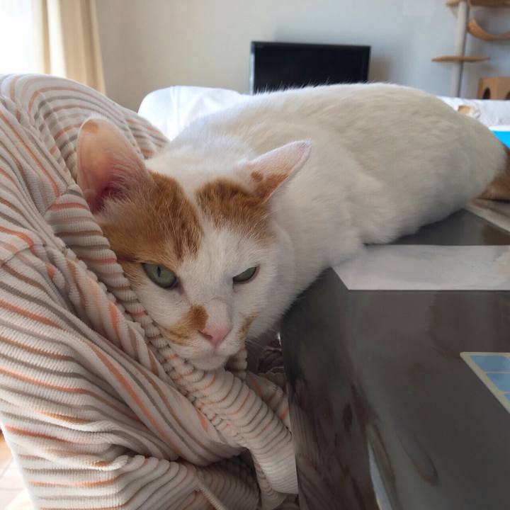 17a5b065 cabf 473d a540 8333b3815b86 1515769443702