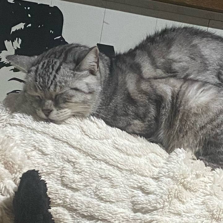 17a5e451 ad3b 40fb b45c 077e26ab3bbc 1746214091914