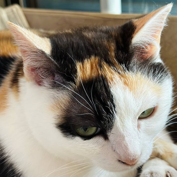 17a60a23 3808 43ed 842d febaee4e57e8 1686361306389