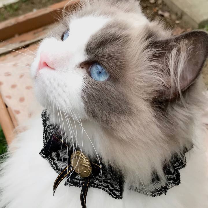 17a65802 4ed9 4919 be69 970d181962d5 1597176236923