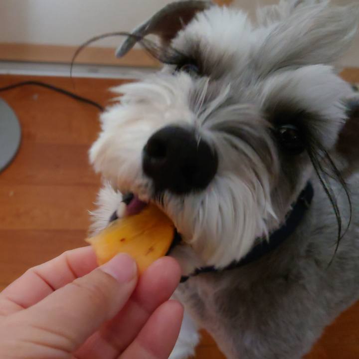 17a65952 aed8 4383 9541 a55889824064 1766390208514