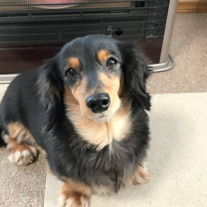 17a65fb1 6521 4833 8014 a388f2b35ddb 1511653032270