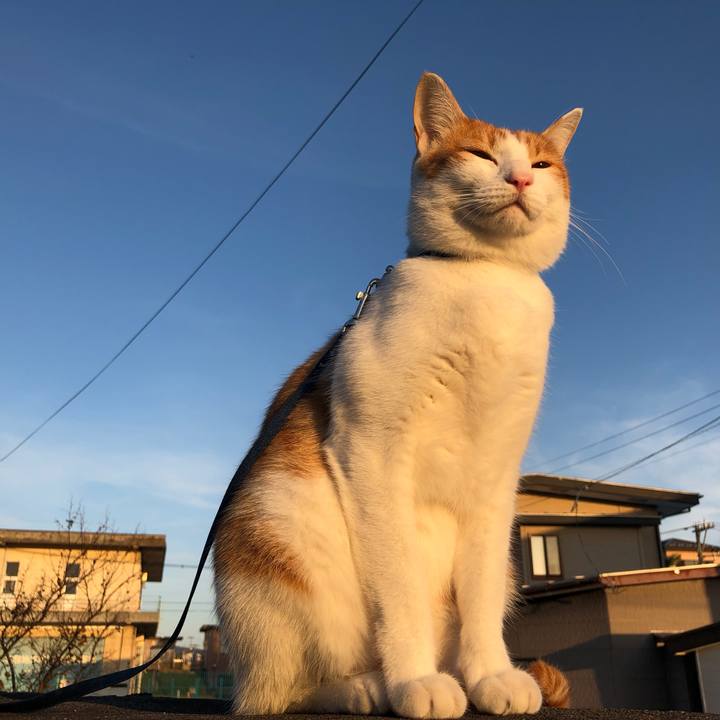 17a72ffc 81bf 44bf b4ee 0ef6cecef2c1 1540192501761