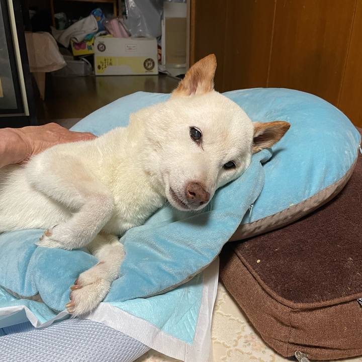 17a756c0 4159 46e3 9249 69c25d6f3552 1661791744434