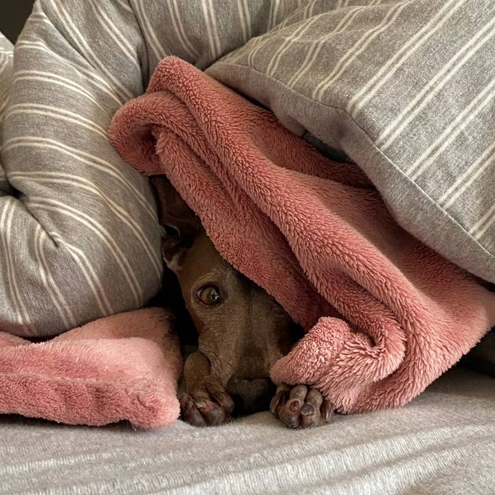 17a75dac a8c1 4f41 8571 ccb46b612813 1767398321026