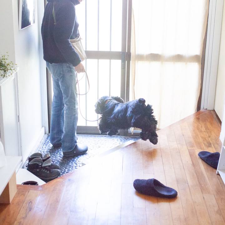 17a7644c bca3 4d90 a106 2513e04260af 1554387146003