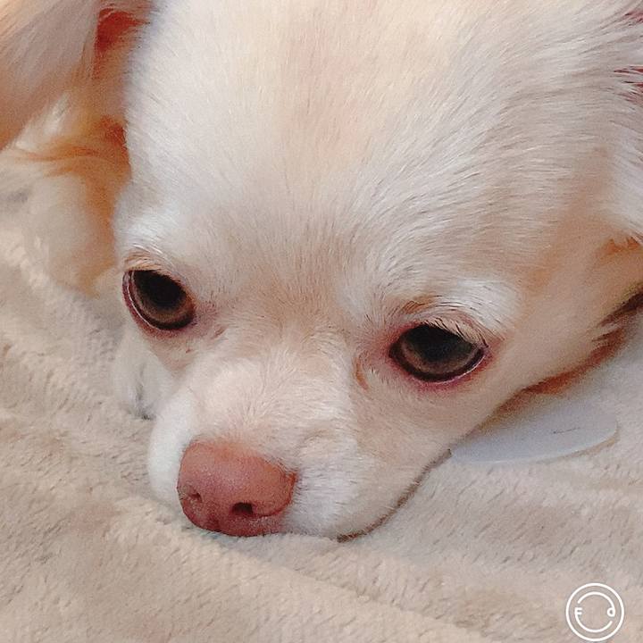 17a79165 5f26 44b1 8d03 13280c0a1535 1618715032638